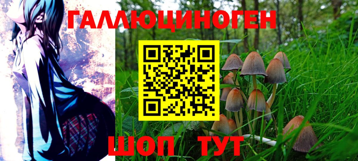 Архангельск  где купить наркоту  Вход с VPN  Псилоцибиновые грибы MAGIC MUSHROOMS 