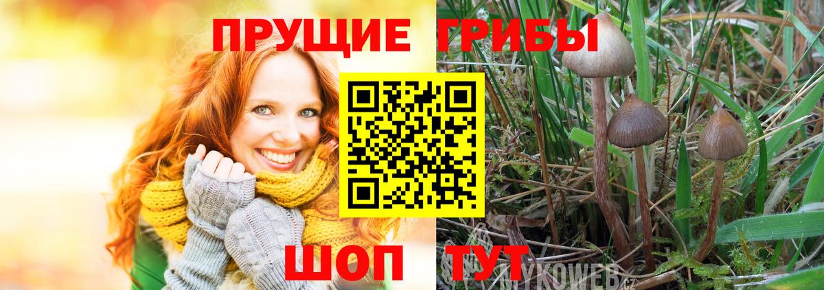 Псилоцибиновые грибы MAGIC MUSHROOMS Архангельск